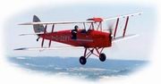 redmoth1_180